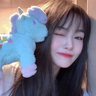 几度菊花香